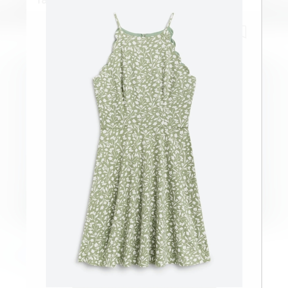 New Green Scallop Knit Dress Sleeveless Fortune + Ivy Women's Size XXL